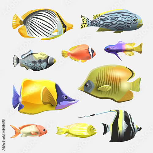 Sea beautiful fish collection isolated on white background. Flat design fish. Vector illustration, fishes. Fish collection. Aquarium modern flat fishes. Set of aquarium fishes