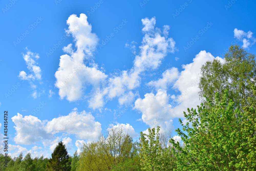 Obraz premium Niebo majowe