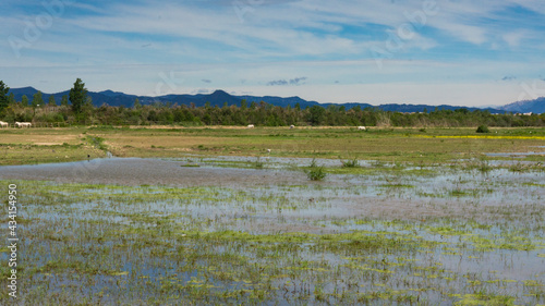 natural park on the outskirts of the city of barcelona
