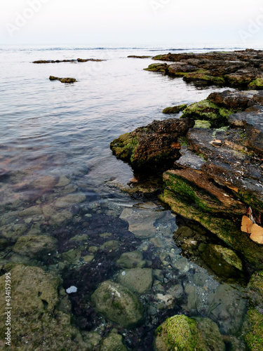 seaweed covered rocks with rough sea in background. © Galina