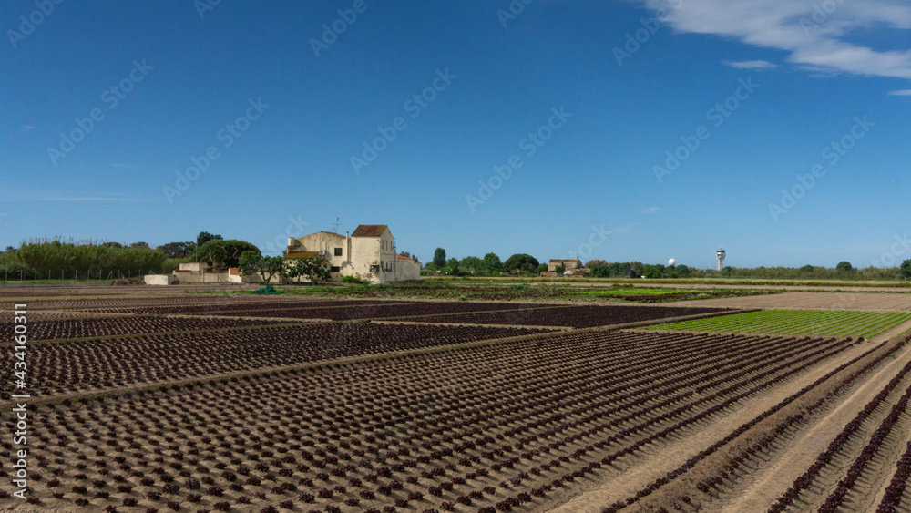 agriculture farm on the outskirts of barcelona