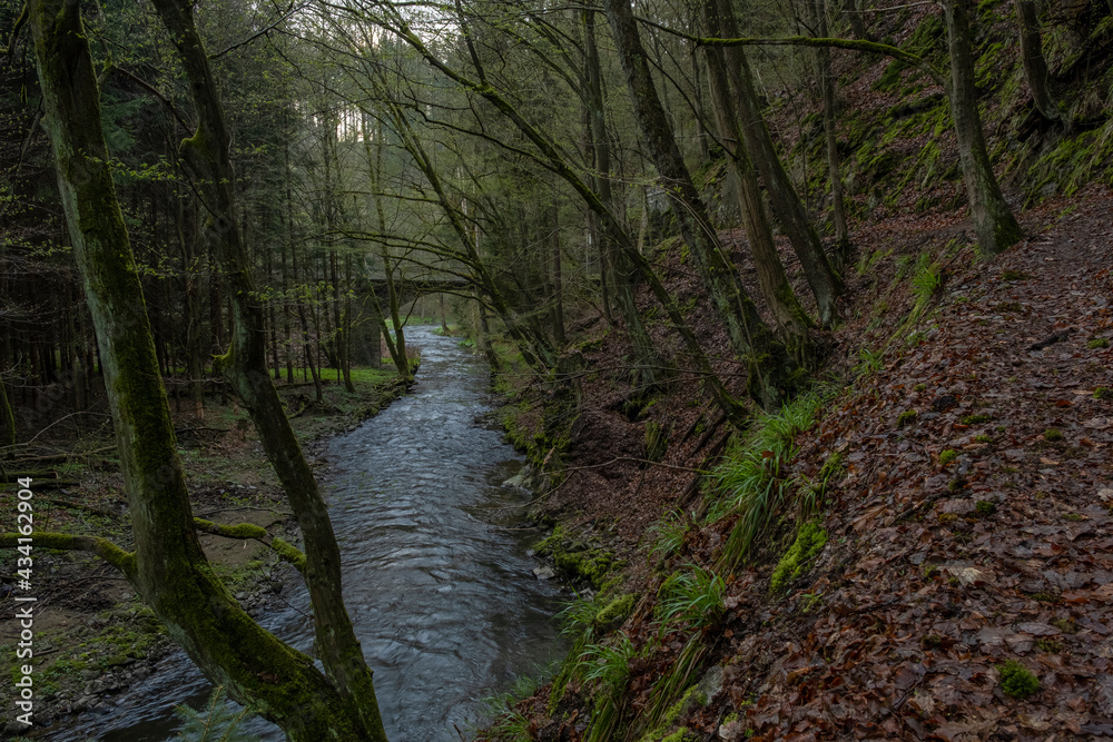 Morgenstimmung im Sebnitztal- Sächsische Schweiz Morgenstimmung im Sebnitztal- Sächsische Schweiz