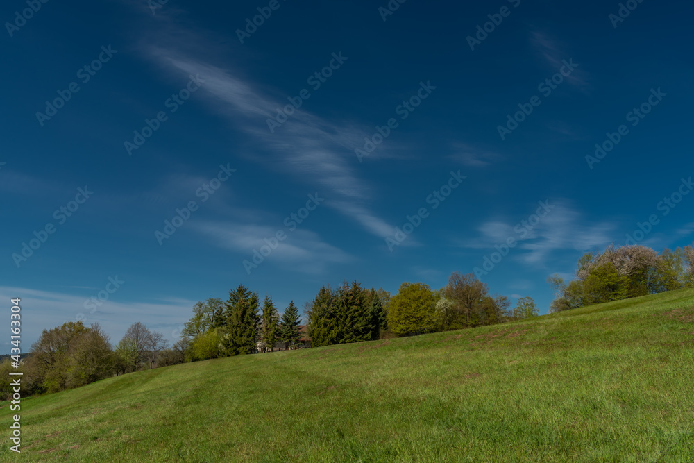 Meadows and trees near Homole village in spring sunny fresh morning Meadows and trees near Homole village in spring sunny fresh morning