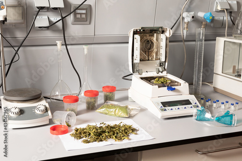 Dried marijuana flower buds on table with analytical balance and moisture measuring device against protective glasses in lab