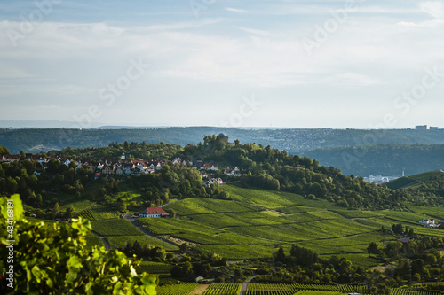 Beautiful view of a vineyard panorama with a funerary chapel on a hill in the background near Stuttgart, Germany.