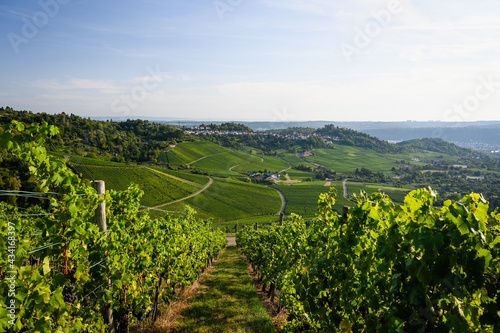 Beautiful view of a vineyard panorama with a funerary chapel on a hill in the background near Stuttgart  Germany.