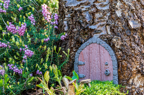 Little fairy tale door made from clay in a tree trunk with small chair