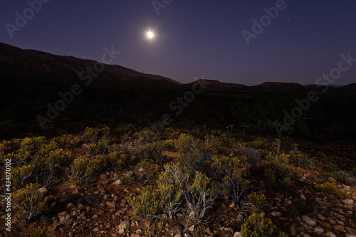 Canvas Print Moonrise