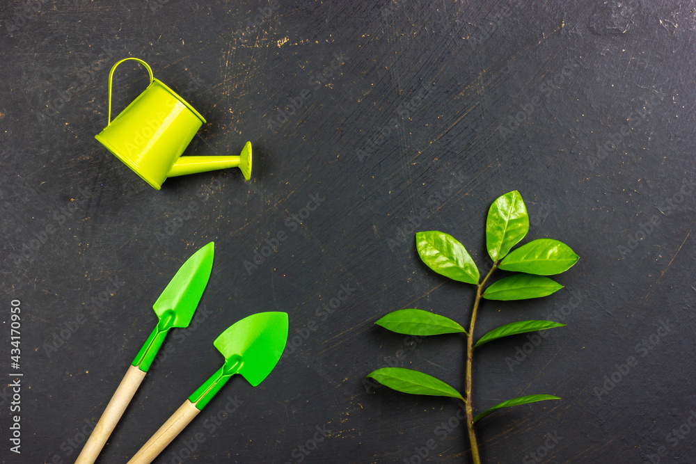 Gardening tool and green sprout on a black background. Green plant care. Gardening tool and green sprout on a black background. Green plant care.
