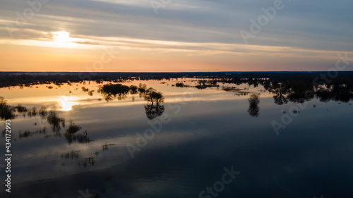 Flooded trees during a period of high water at sunset. Trees in water at dusk. Landscape with spring flooding of Pripyat River near Turov  Belarus. Nature and travel concept.