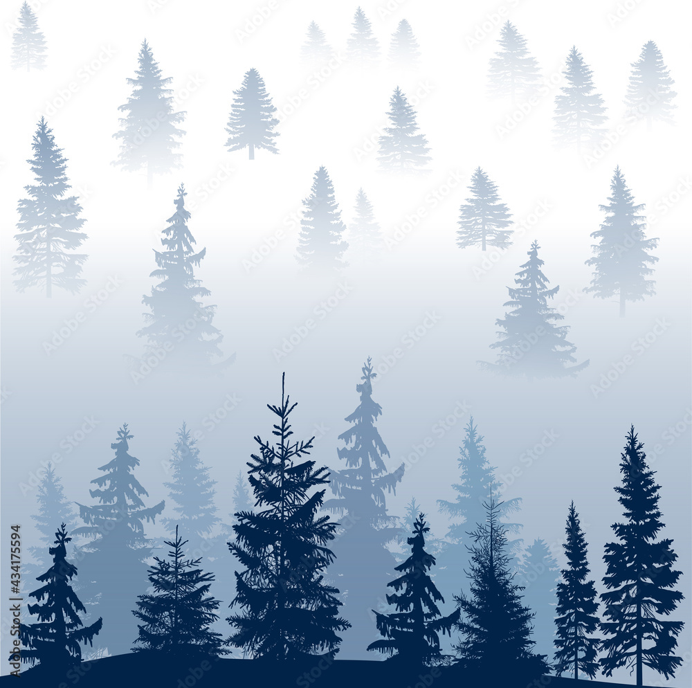 large group of blue firs on white background