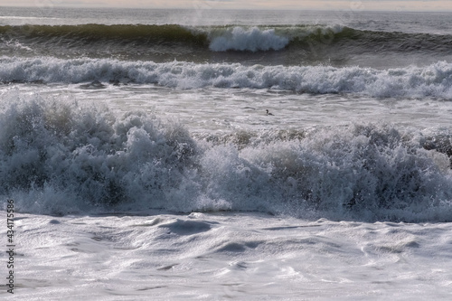 Ocean Waves Cresting with duck