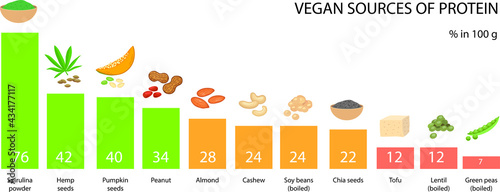 Vegan sources of protein. Infographic vector illustration