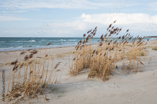 Darß, Baltcic Sea in Winter