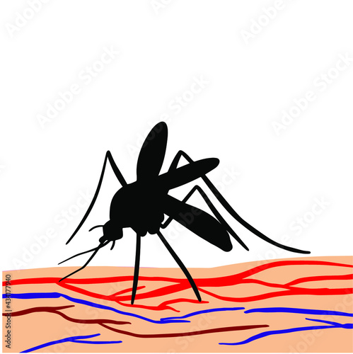 Warning dengue fever sign with mosquitos. Dangerous mosquito. Drinking blood vector design. Ideal for informational and institutional related sanitation and care.