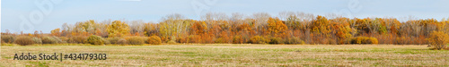Panorama Autumn forest in front of a meadow against a blue sky