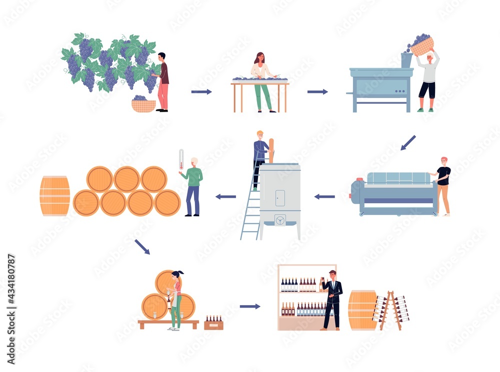 Wine making process, production of popular alcohol on winery a vector