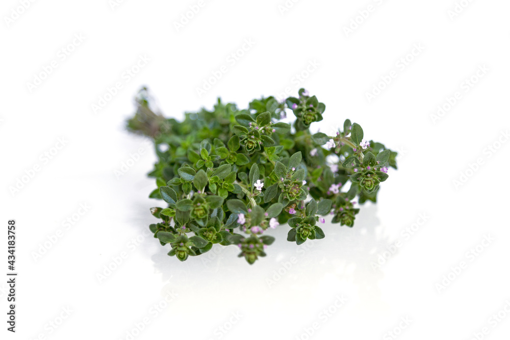 Fototapeta premium Fresh thyme bunch isolated on white background