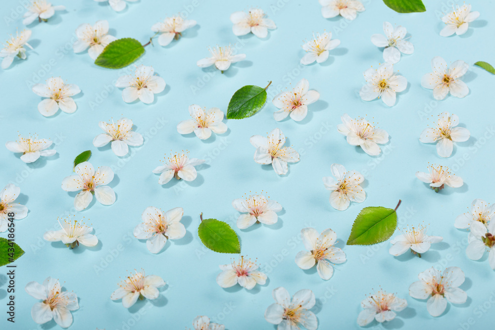 Fototapeta premium Frame from Beautiful spring white flowers on blue background. Flower pattern