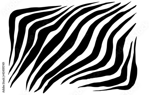 Zebra stripes, wild animal pattern, abstract striped background. Black and white backdrop.