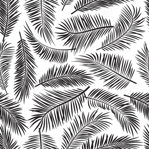Palm leaf seamless pattern, black and white tropic tree repeating background. Summer illustration
