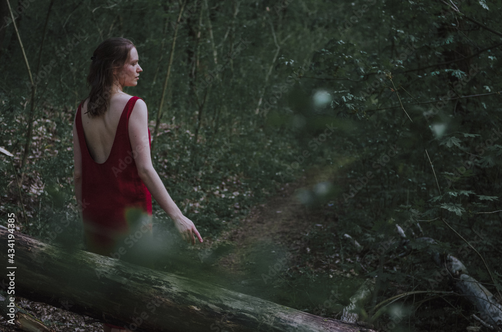 Fototapeta premium Atmospheric artistic portrait of woman in burgundy red backless linen dress walking in an enchanted forest 