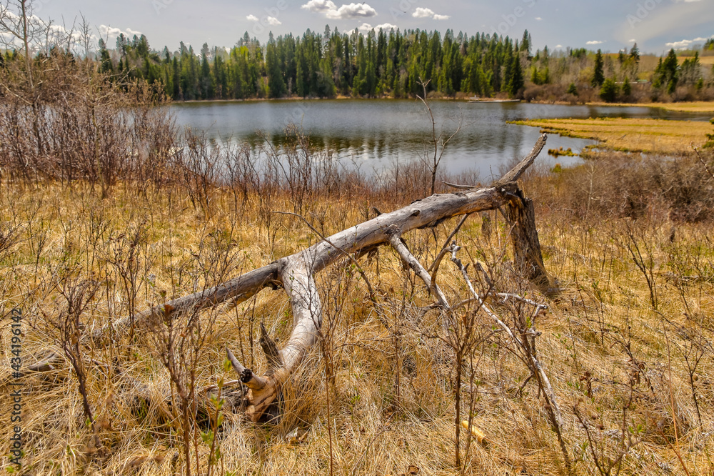 Landscapes of the Alberta countryside around Pine Lake and Red Deer