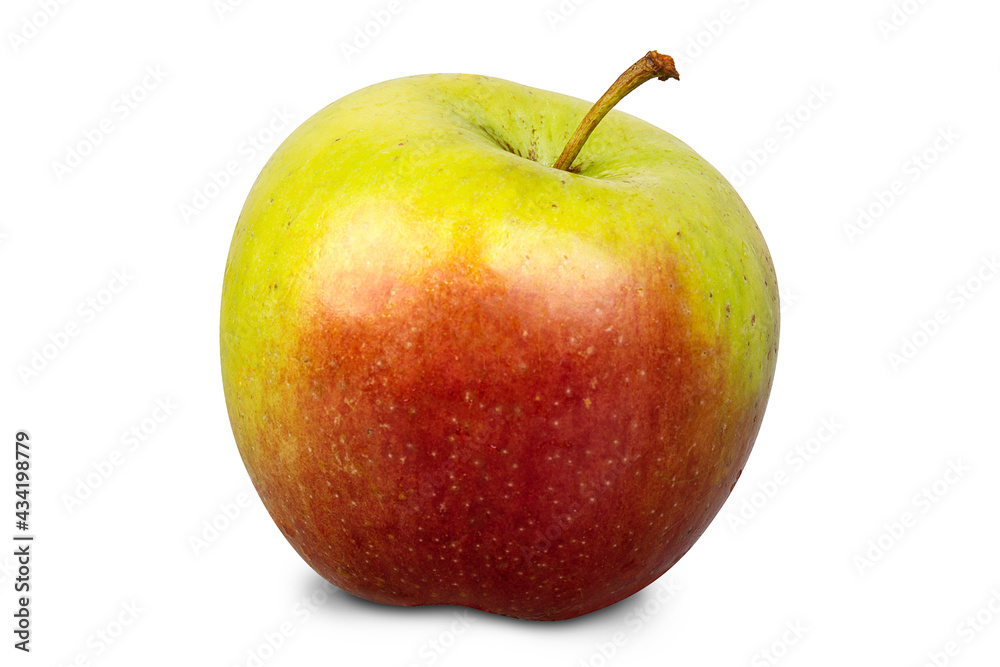 One green and red apple