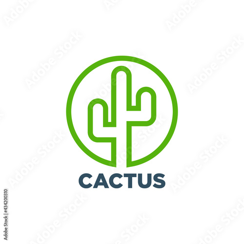 cactus logo design with geometry
