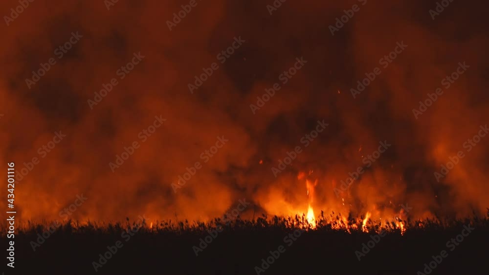 Flames from a dry grass fire at night. Night fire in the field Flames from a dry grass fire at night. Night fire in the field