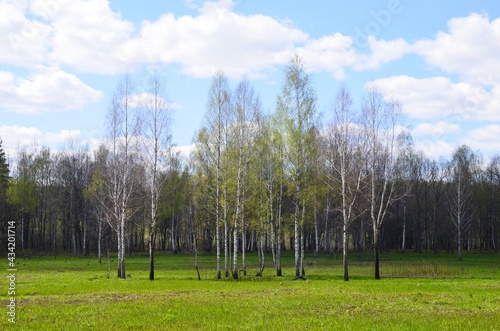grass and blue sky