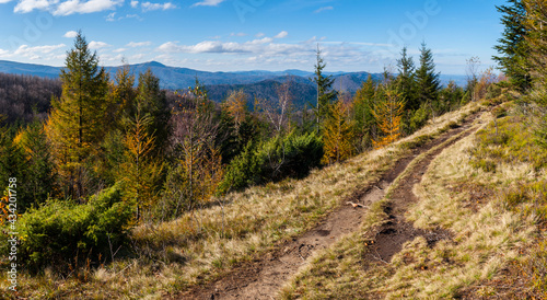 Fototapeta Naklejka Na Ścianę i Meble -  Panorama from the top of Dwernik Kamień on the high Bieszczady Mountains, Bieszczady Mountains
