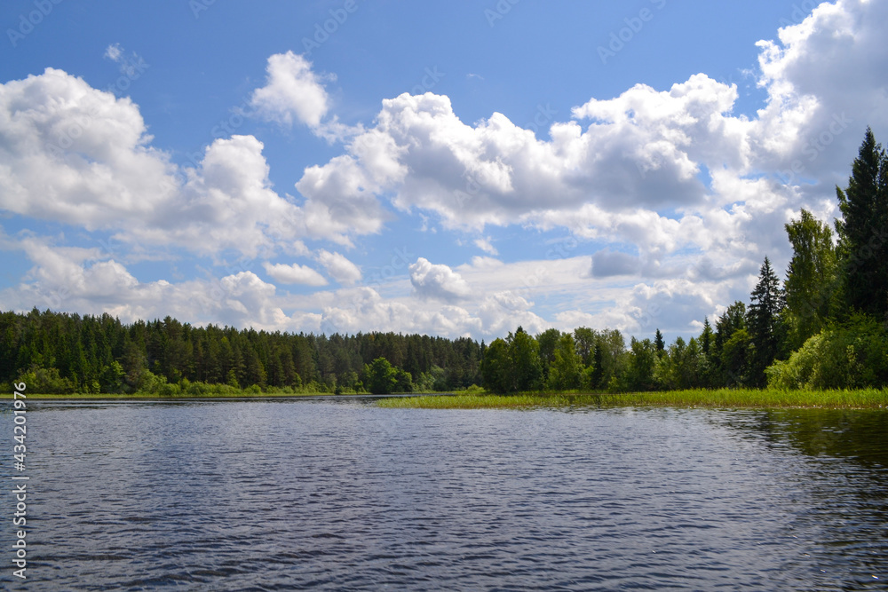lake in the forest lake in the forest