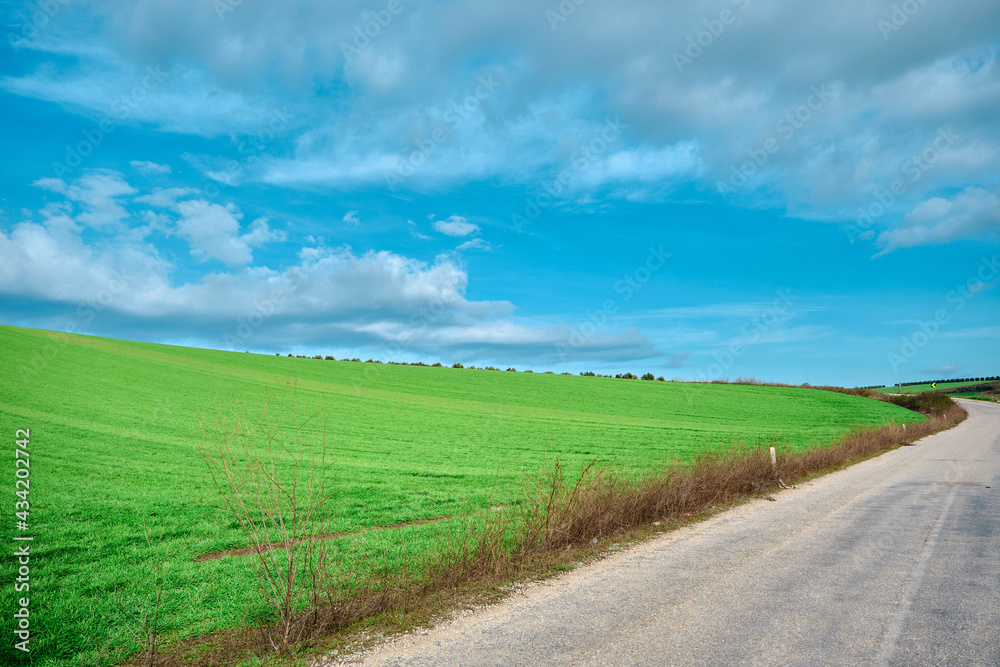 Gravel road and magnificent green grass near the road with cloudy and open sky background. Road sign in next to road.