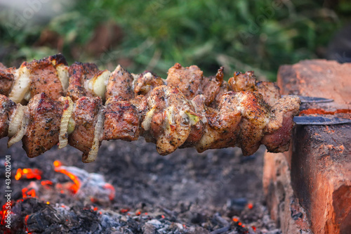 Appetizing pieces of roasted meat on the fire.