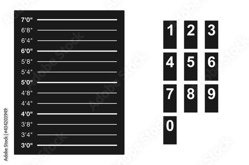 Police height chart with suspect numbers in vector set