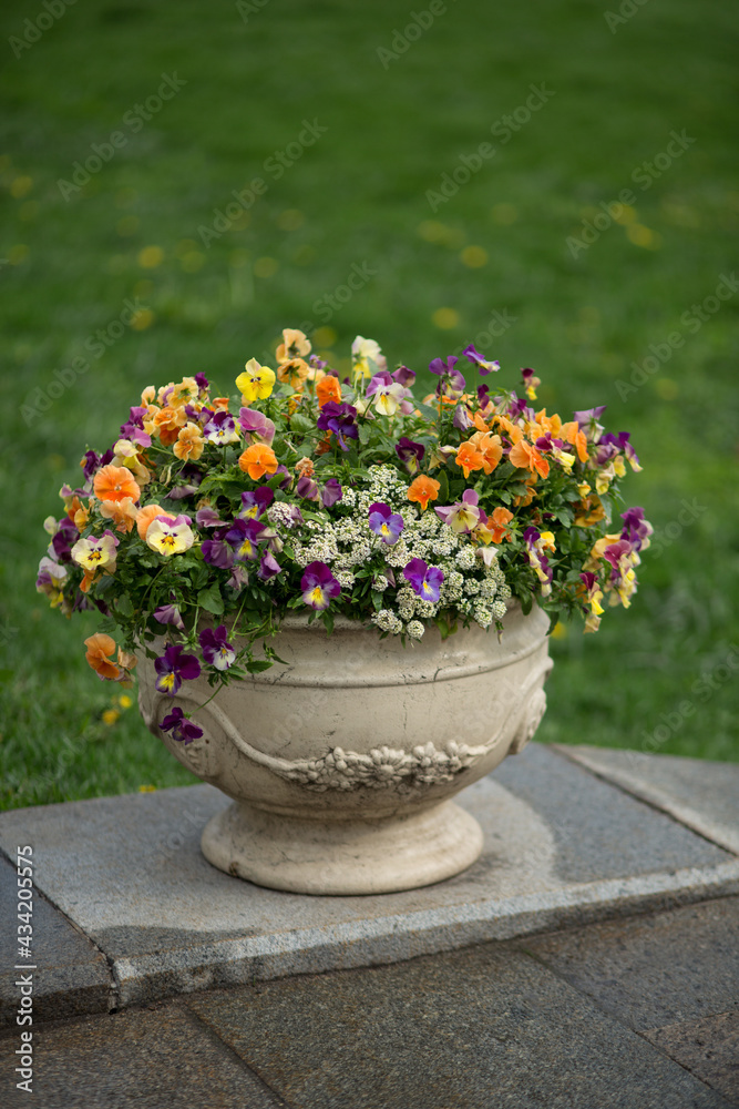 Vase with flowers in the summer park
