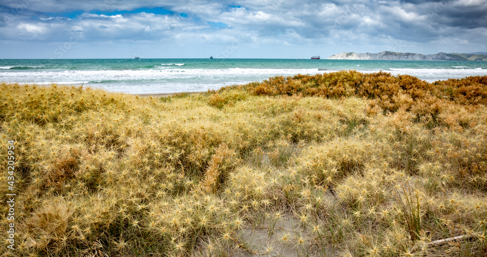 Young Nick’s Head, Te Kuri, or Te Kuri a Pawa, Gisborne district, New Zealand Young Nick’s Head, Te Kuri, or Te Kuri a Pawa, Gisborne district, New Zealand