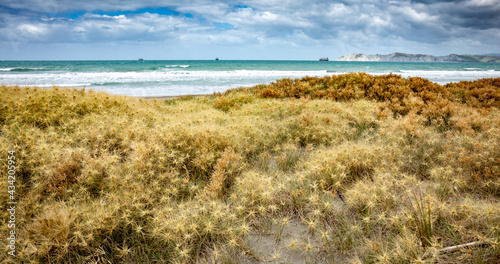 Young Nick   s Head  Te Kuri  or Te Kuri a Pawa  Gisborne district  New Zealand 