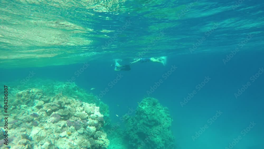 Underwater world of the ocean. Water rescue in clear sea near coral reef Underwater world of the ocean. Water rescue in clear sea near coral reef