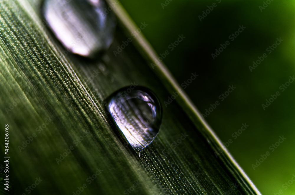 Waterdrop 45° Waterdrop 45°