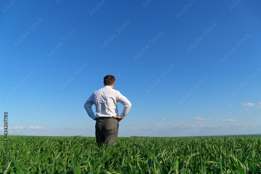 businessman poses in a field, he looks into the distance, green grass and blue sky as background businessman poses in a field, he looks into the distance, green grass and blue sky as background