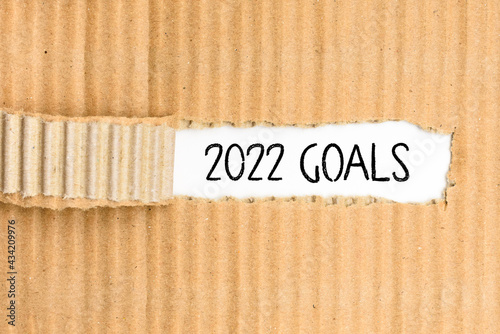 Documents with the most important Goals for 2022, written on its torn cover.