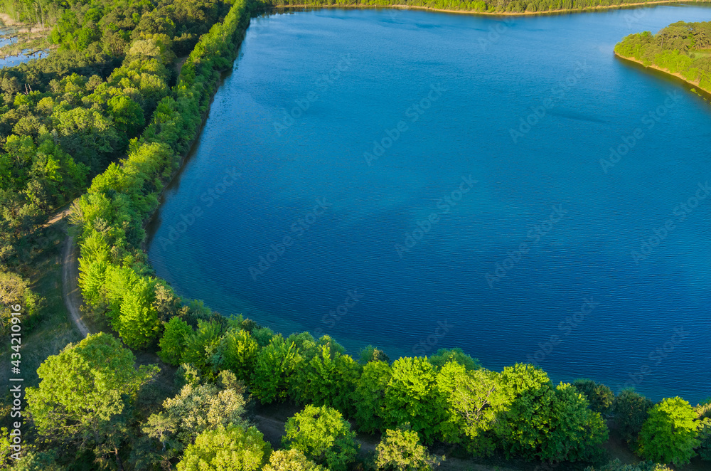Aerial view of pond on a sunny summer day forest panorama