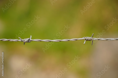 barbed wire fence