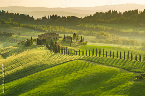 Green Toscany photo
