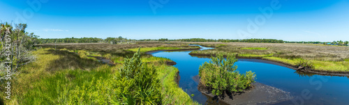 Panorama from Lastinger Tower at the end of the Chassahowitzka Salt Marsh Trail, Crystal River Wildlife Refuge - Homosassa, Florida, USA © Sunshower Shots