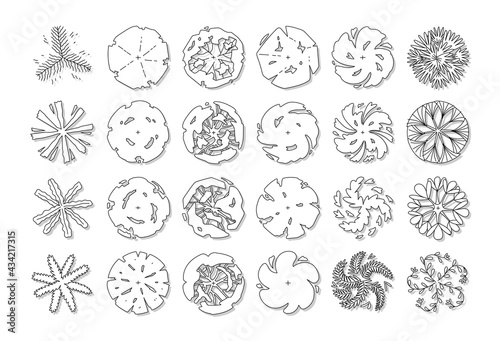 hand drawn vector set of top view tree.