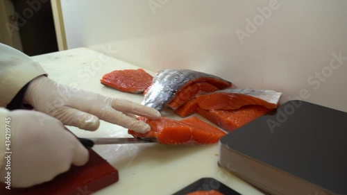 salmon industry worker in white coat moving salmon filet from chopboard to cutting table - slow motion photo