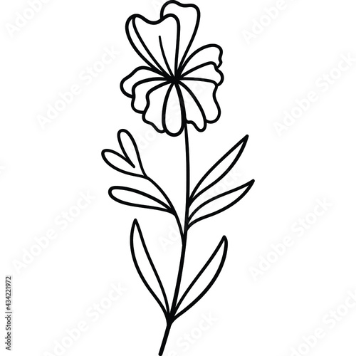 Fototapeta Naklejka Na Ścianę i Meble -  Hand-Drawn Flowers